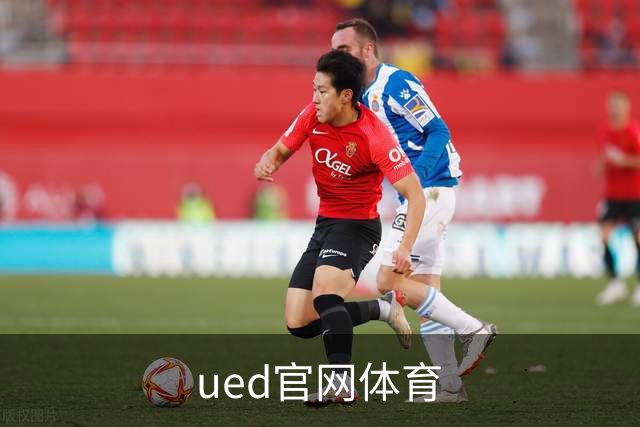 ued官网体育 公司简介